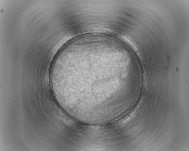 X0000089380883200707061136