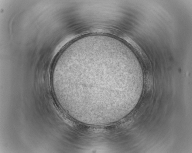 X0000089380886200707061136