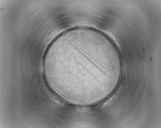 X0000089380887200707061136