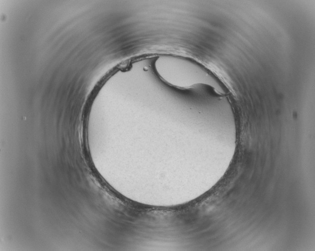 X0000089380888200707061136