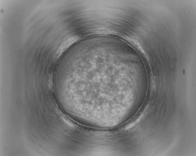 X0000089380889200707061136