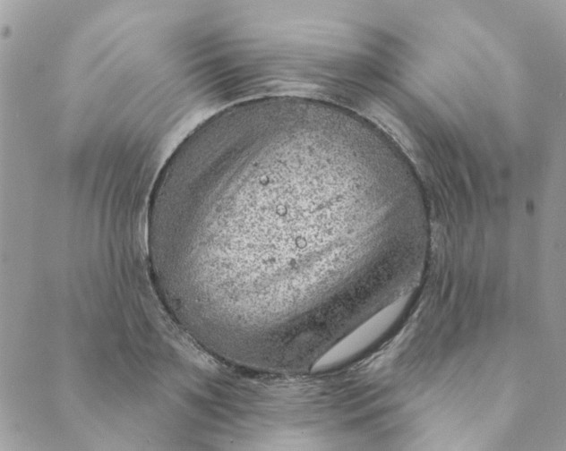 X0000089380891200707061136