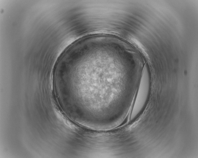 X0000089380892200707061136