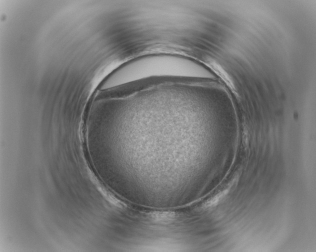 X0000089380893200707061136