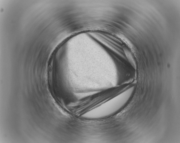 X0000089380894200707061136