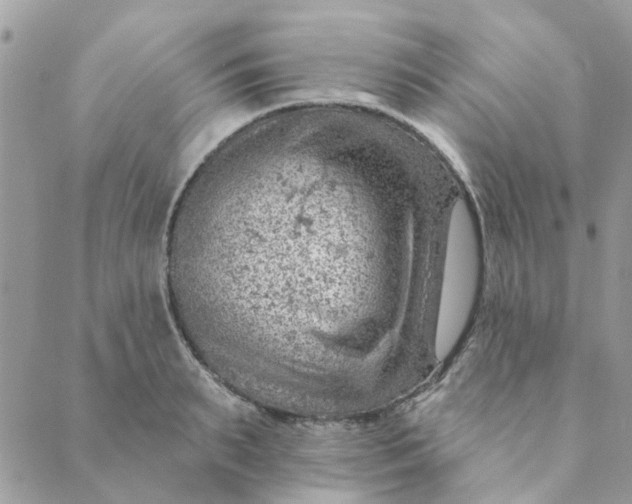 X0000089380895200707061136