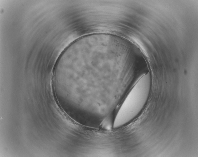 X0000089380899200707061136