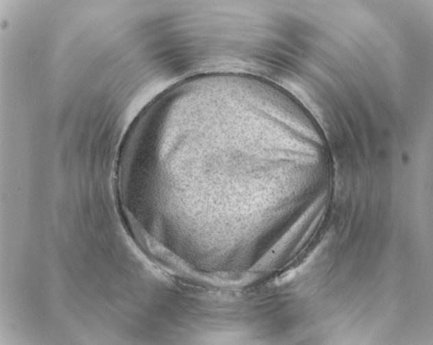 X0000089380901200707061136