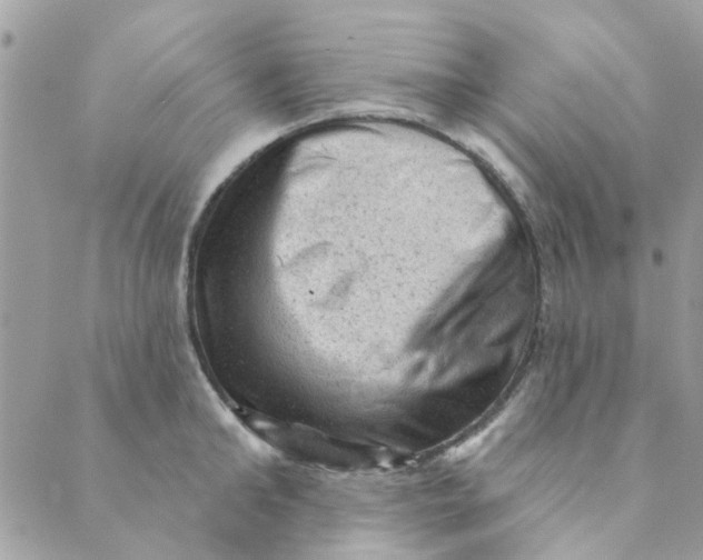 X0000089380902200707061136