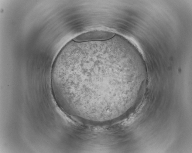 X0000089380903200707061136