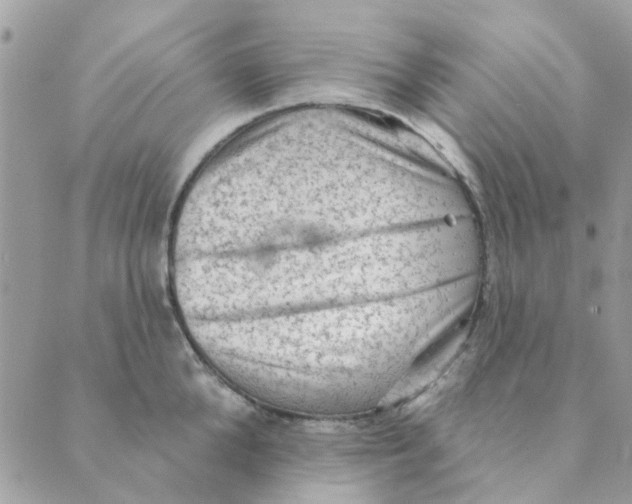 X0000089380904200707061136