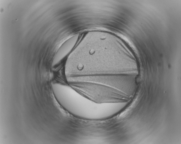 X0000089380905200707061136