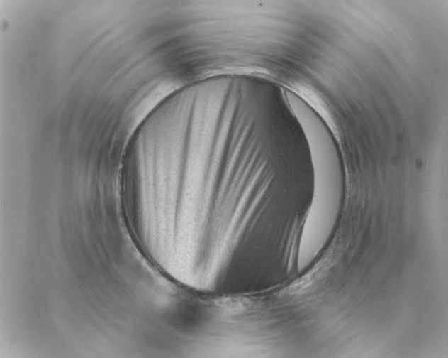 X0000089380906200707061136