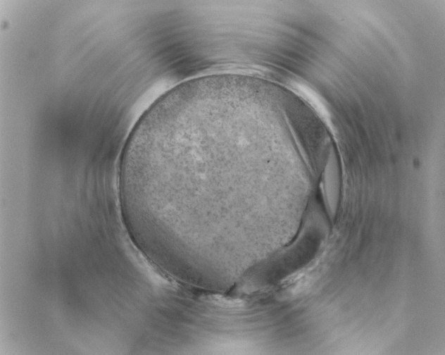 X0000089380907200707061136