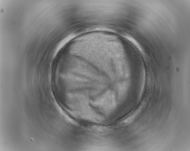 X0000089380910200707061136