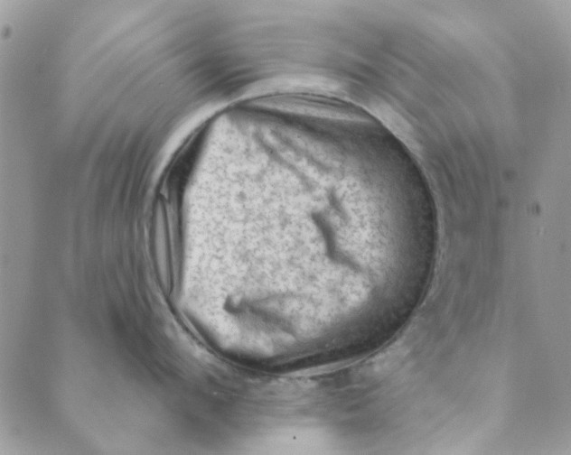 X0000089380912200707061136