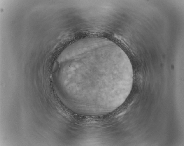 X0000089380913200707061135