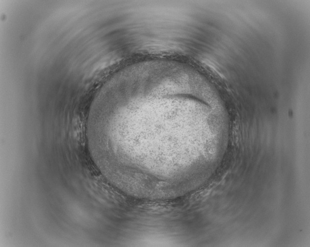 X0000089380917200707061135