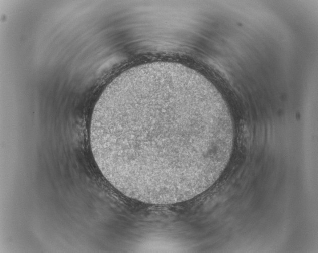 X0000089380918200707061135