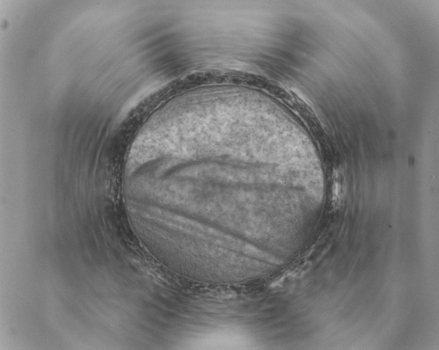 X0000089380919200707061135