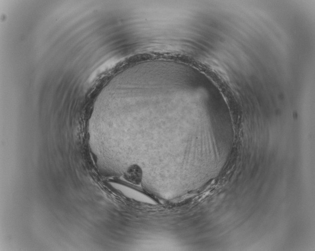 X0000089380920200707061135