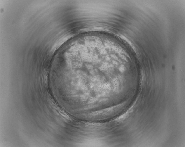 X0000089380921200707061135