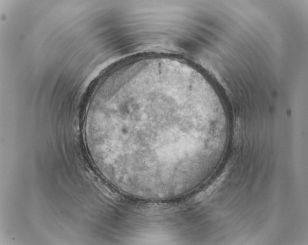 X0000089380923200707061135