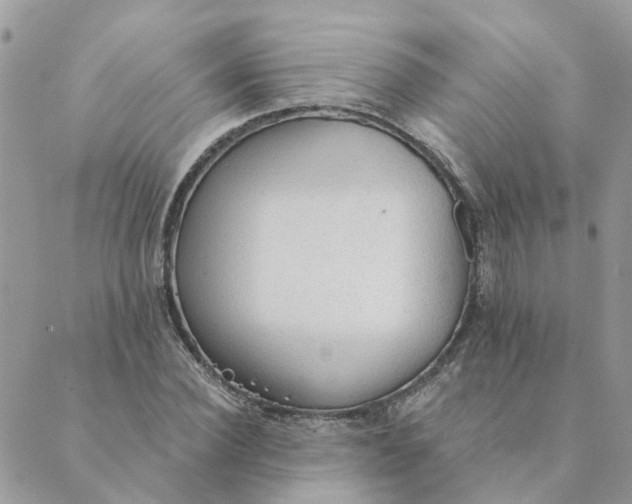 X0000089380924200707061135