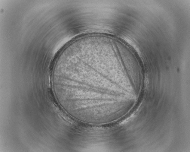 X0000089380925200707061135