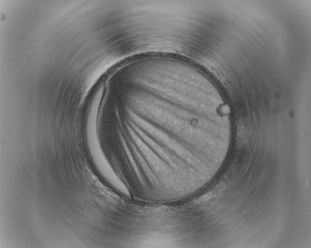 X0000089380926200707061135