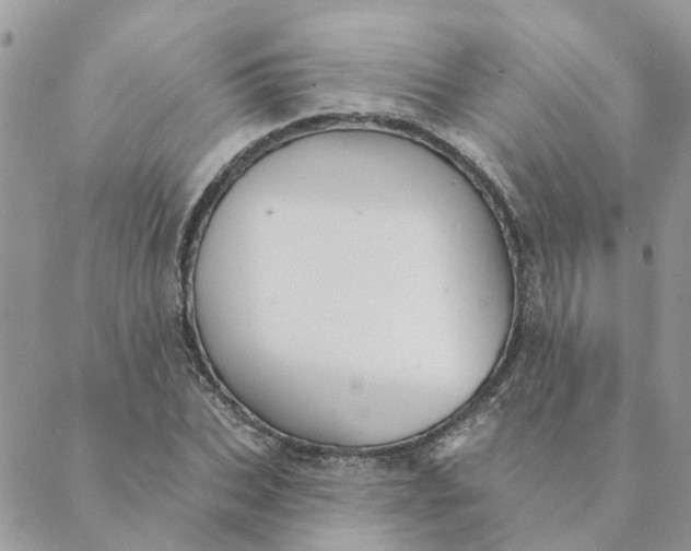 X0000089380927200707061135