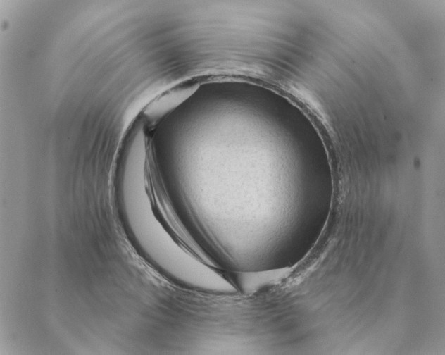 X0000089380928200707061135