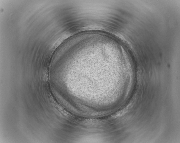 X0000089380929200707061135