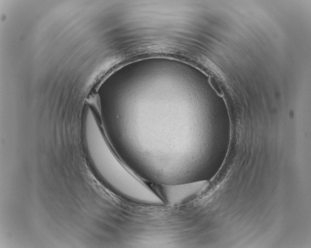 X0000089380930200707061135