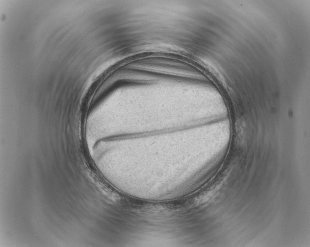 X0000089380931200707061135