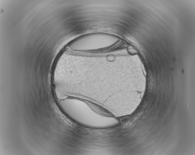 X0000089380932200707061135