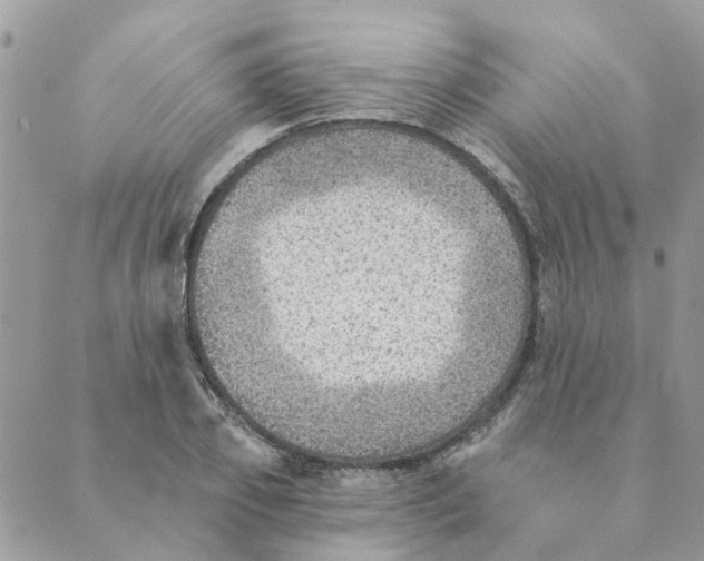 X0000089380933200707061135