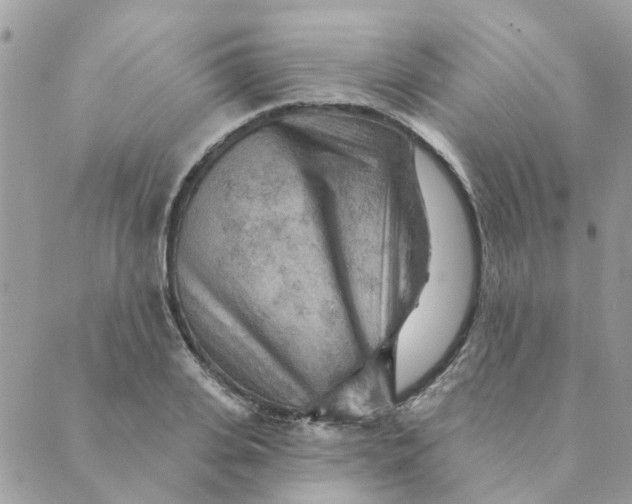 X0000089380935200707061135