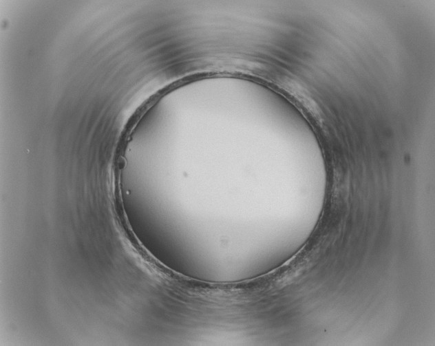 X0000089380936200707061135