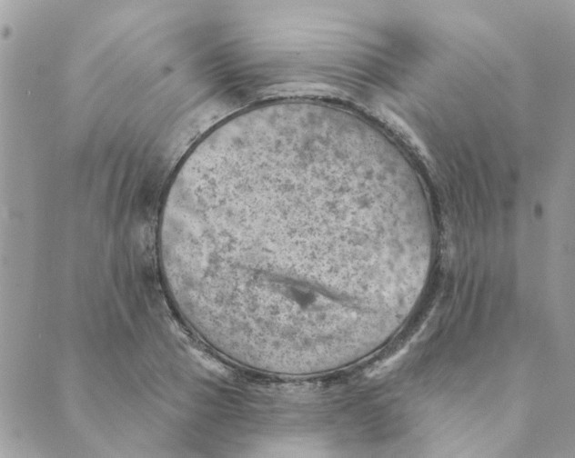 X0000089380937200707061135