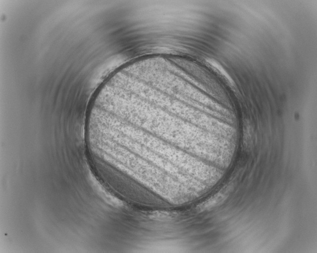 X0000089380938200707061135