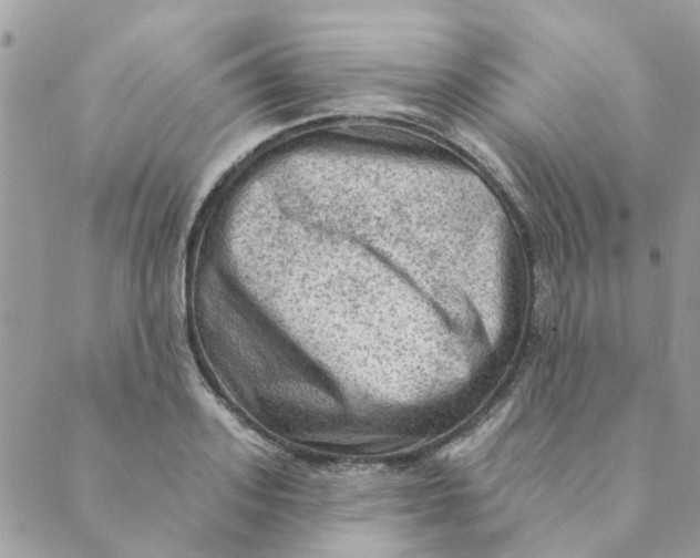 X0000089380939200707061135