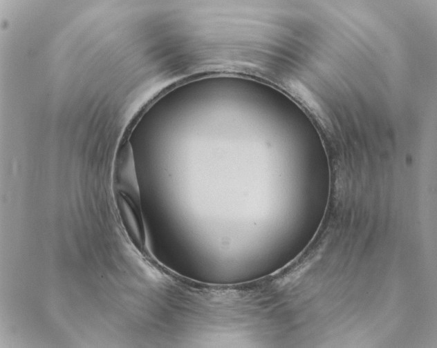 X0000089380940200707061135