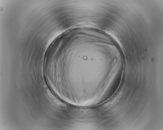 X0000089380941200707061135