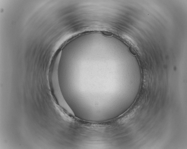 X0000089380942200707061135