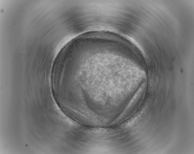 X0000089380943200707061135