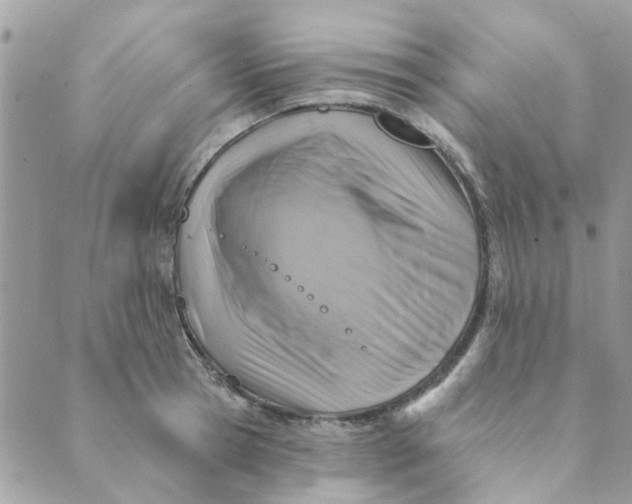 X0000089380945200707061135