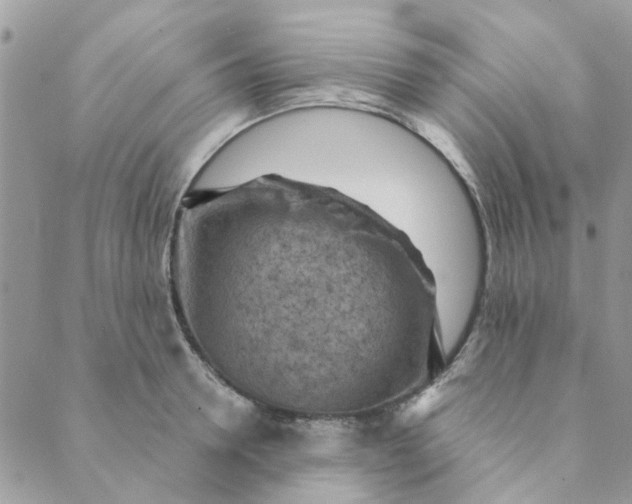 X0000089380946200707061135