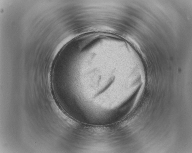 X0000089380947200707061135