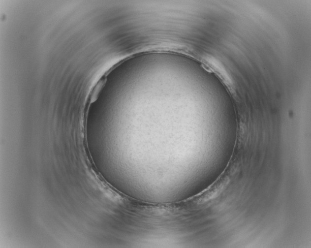 X0000089380948200707061136